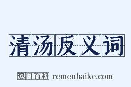 清汤反义词是什么意思的图片